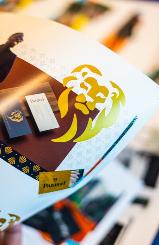 paravel branding